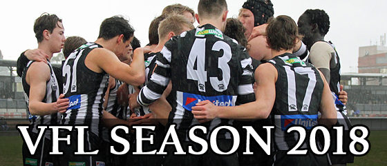 2018VFL_banner2 2018VFL_banner2
