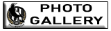 Button_AFLW_Photogallery Button_AFLW_Photogallery