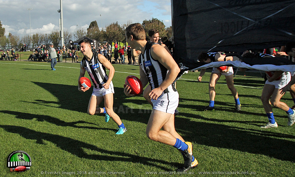 VFL2018_R10_Casey_3Gallucci VFL2018_R10_Casey_3Gallucci