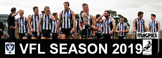 VFL2019_banner