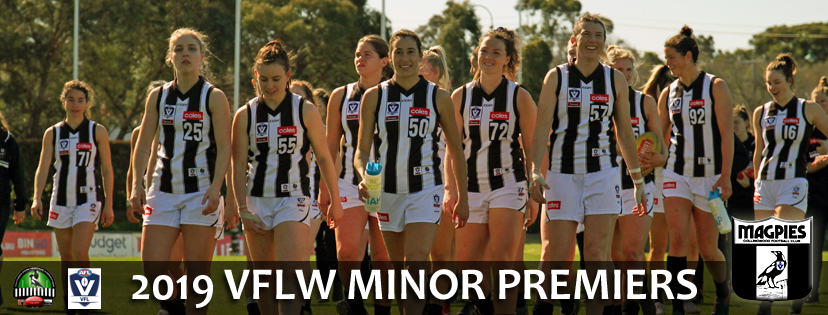 VFLW2019_R16_Hawthorn_MinorPremiersBanner VFLW2019_R16_Hawthorn_MinorPremiersBanner